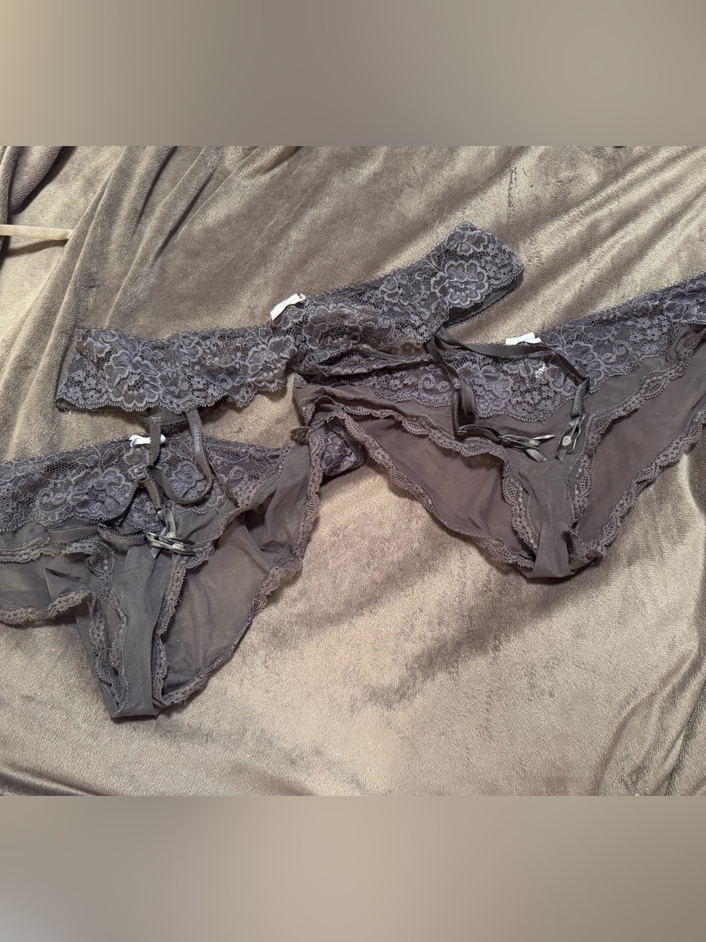 Victoria's Secret 2 Lace Sheer Bikini Panties and matching garter